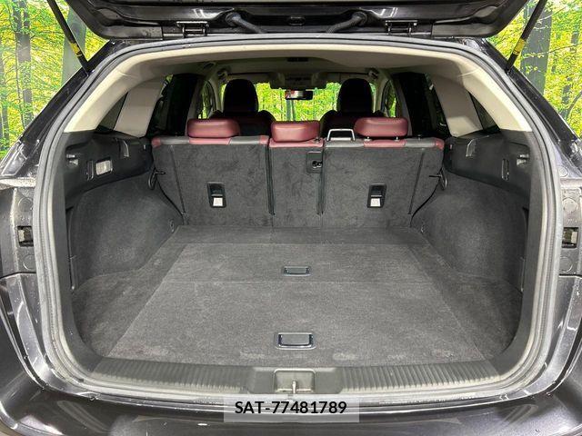 Subaru LEVORG 2017-10 7455335-19
