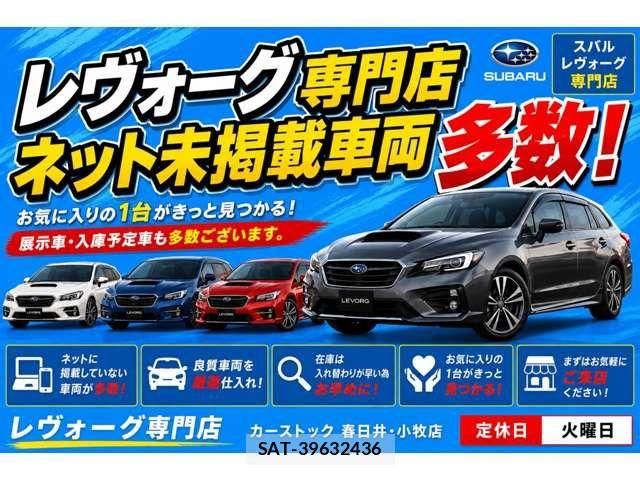 Subaru LEVORG 2018-11 8336518-2