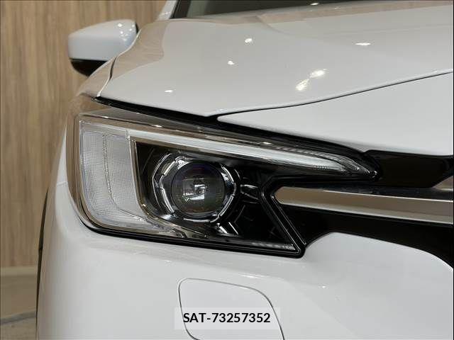 Subaru LAYBACK 2024-12 8366686-25