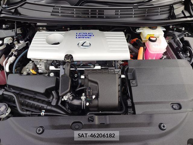 Lexus CT 2016-04 3066354-23