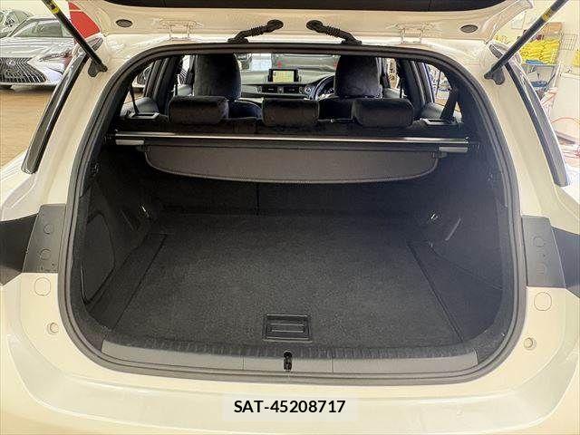 Lexus CT 2011-10 4595309-8