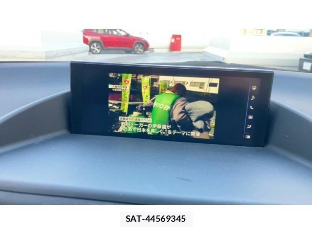Lexus CT 2019-06 4595298-21