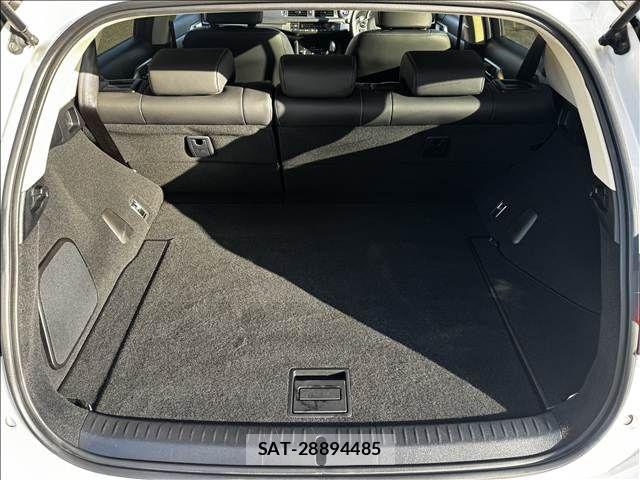 Lexus CT 2018-04 6907631-10