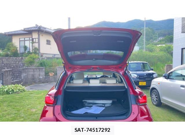 Lexus CT 2018-04 7220868-23