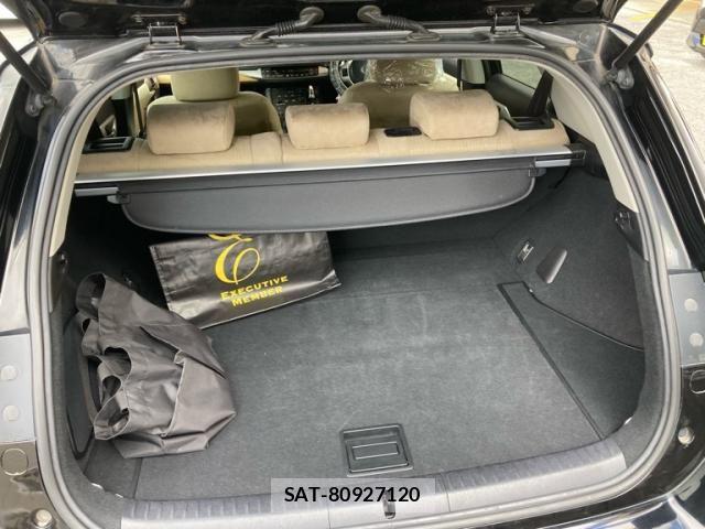 Lexus CT 2011-06 7251308-24