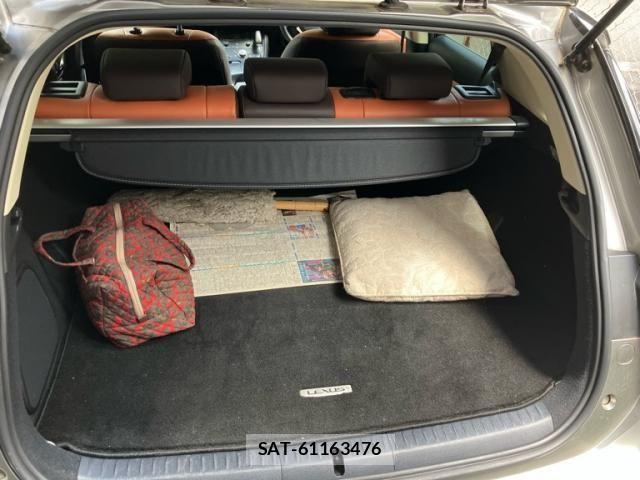 Lexus CT 2019-05 7358455-9