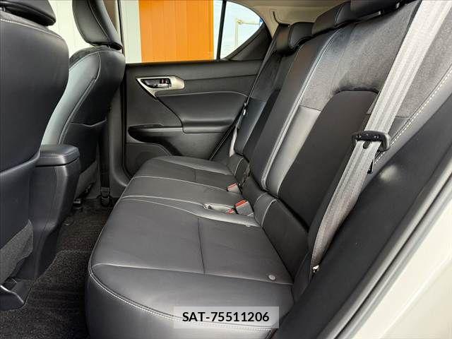 Lexus CT 2018-07 7562346-18