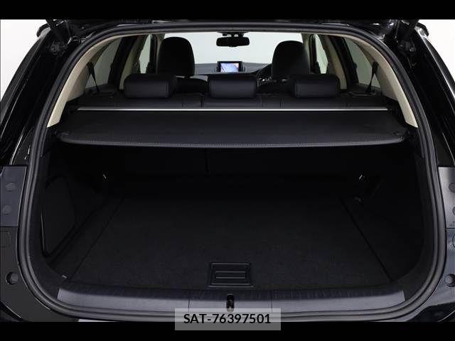 Lexus CT 2015-11 7877308-19