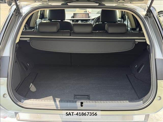 Lexus CT 2018-05 8208339-10