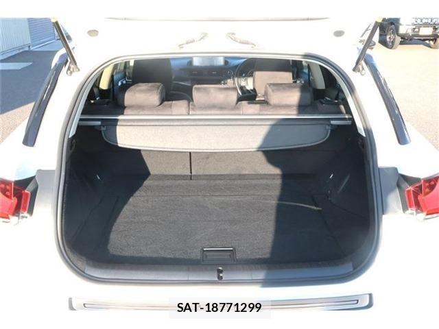 Lexus CT 2018-09 8245692-12