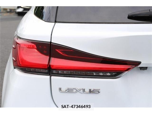 Lexus CT 2018-02 8315151-16