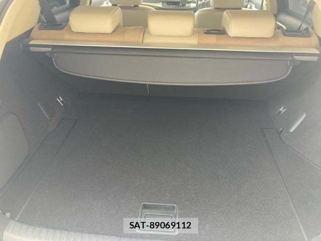 Lexus CT 2018-09 8315154-12