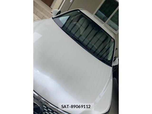 Lexus CT 2018-09 8315154-3