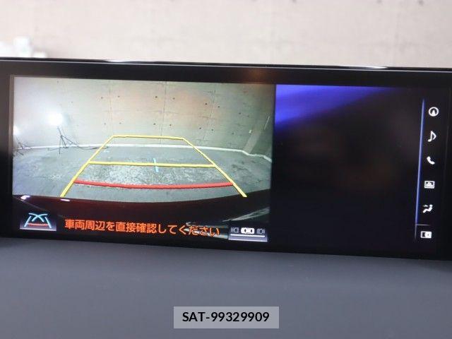 Lexus CT 2017-09 8336526-18