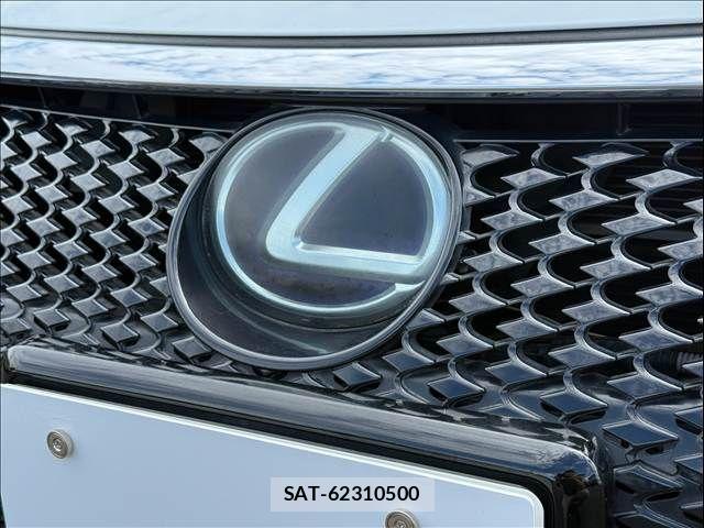 Lexus CT 2015-06 8438337-19