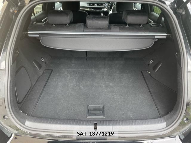 Lexus CT 2011-01 8438346-9