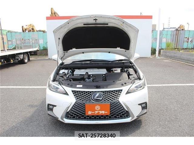 Lexus CT 2019-02 8743354-28