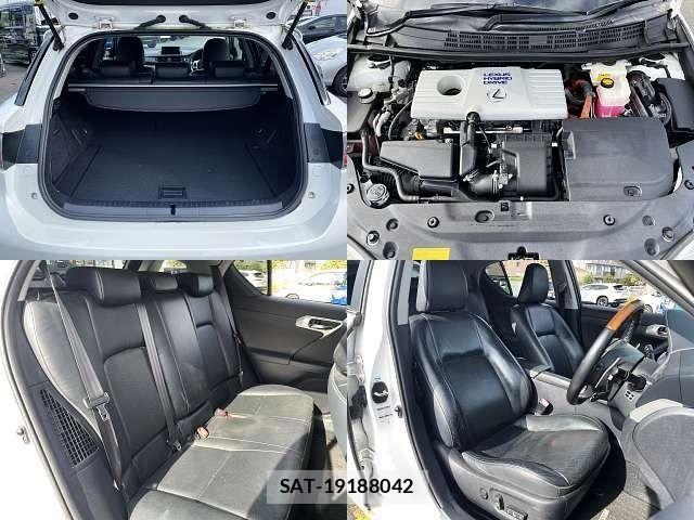 Lexus CT 2011-08 8829921-7
