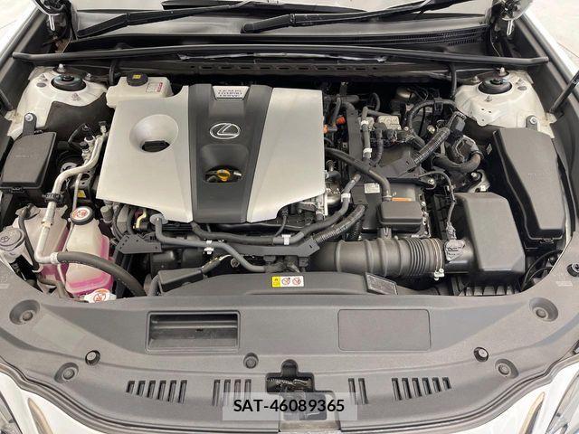 Lexus ES 2019-01 3377683-18