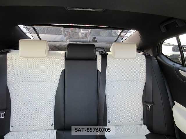 Lexus ES 2023-04 3674368-16
