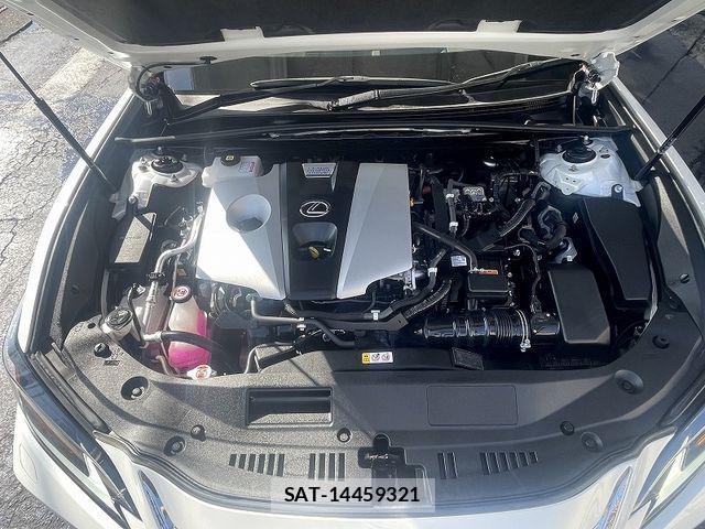 Lexus ES 2021-04 3833270-24