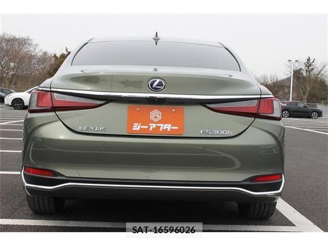 Lexus ES 2019-04 4595354-8