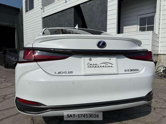 Lexus ES 2019-04 4754982-19