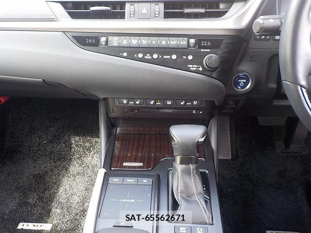 Lexus ES 2019-03 5870792-13