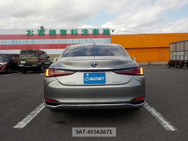 Lexus ES 2019-03 5870792-4