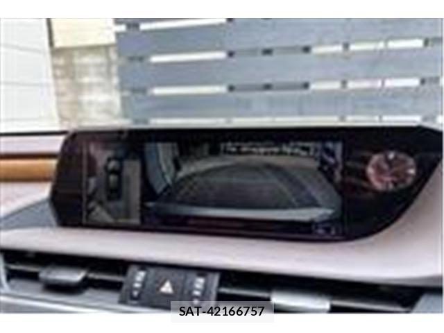 Lexus ES 2019-07 7220874-21