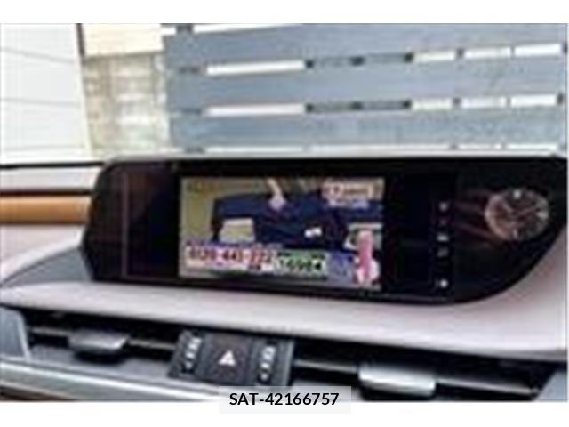 Lexus ES 2019-07 7220874-22
