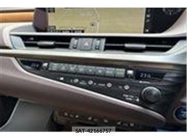 Lexus ES 2019-07 7220874-23