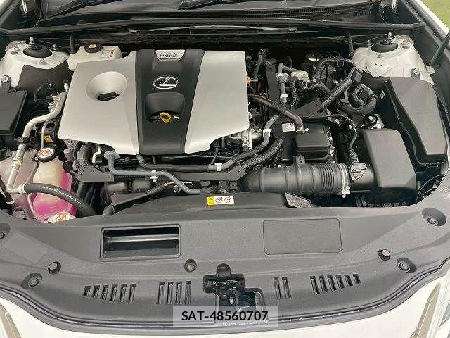 Lexus ES 2020-09 7251304-19