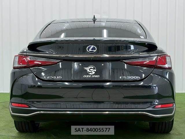 Lexus ES 2019-06 7251305-12