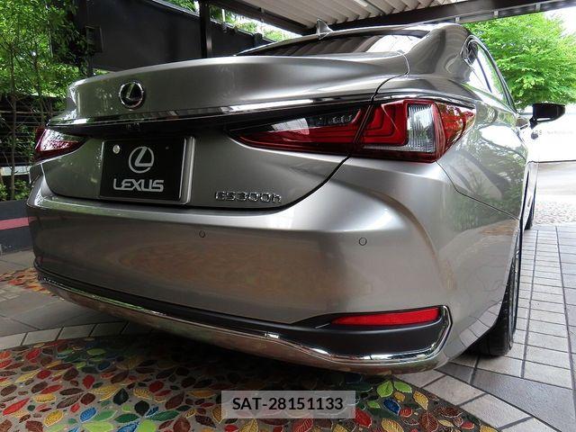 Lexus ES 2025-09 7328005-1