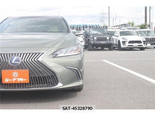 Lexus ES 2018-11 7392653-19