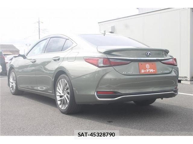 Lexus ES 2018-11 7392653-20