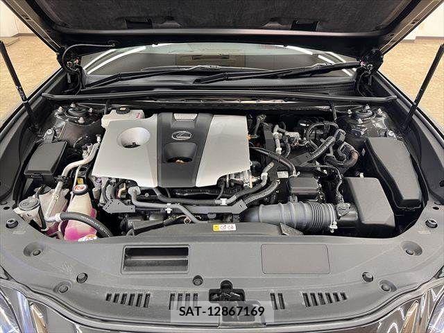 Lexus ES 2020-11 7979748-28