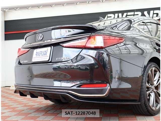 Lexus ES 2019-10 8036391-24