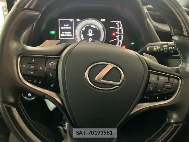 Lexus ES 2020-06 8036392-17