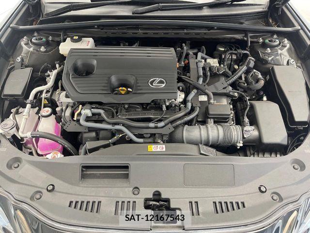 Lexus ES 2023-09 8036390-18