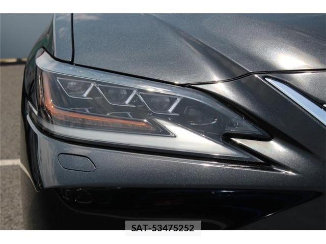 Lexus ES 2019-06 8074326-13