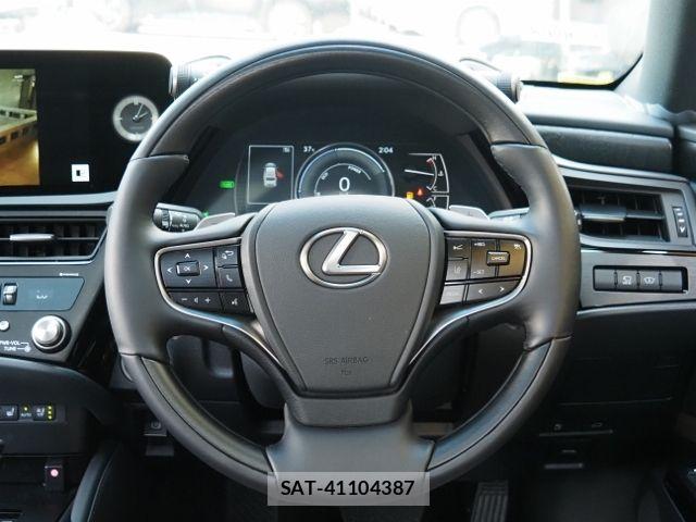 Lexus ES 2025-11 8100111-16