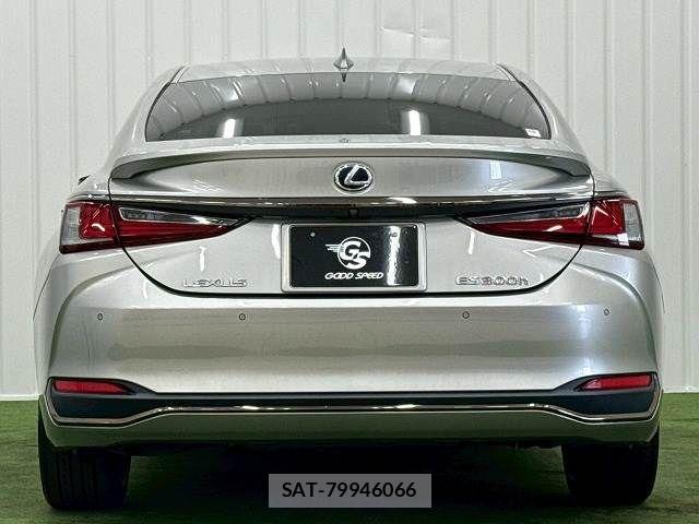 Lexus ES 2021-06 8146054-12
