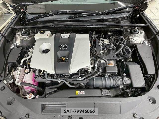 Lexus ES 2021-06 8146054-19