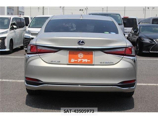 Lexus ES 2019-07 8158689-12