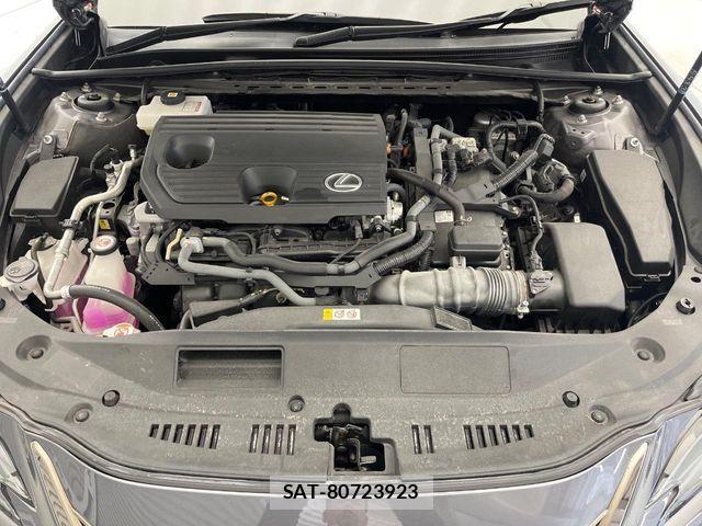 Lexus ES 2022-02 8230601-19