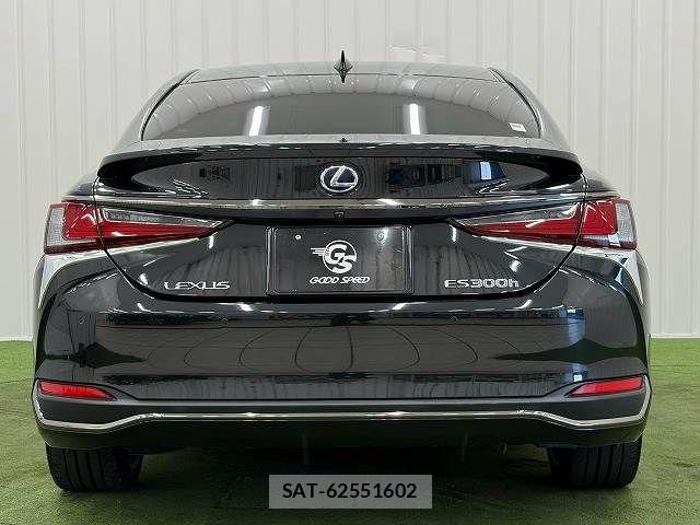 Lexus ES 2019-11 8245698-15