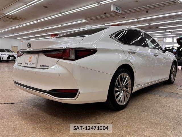 Lexus ES 2021-09 8315162-17