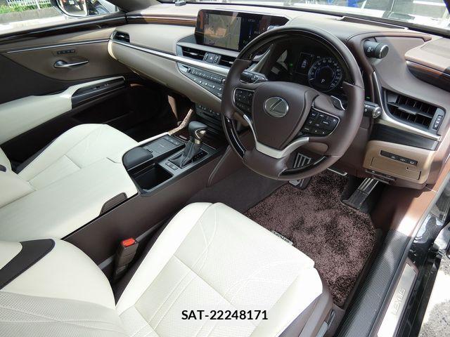 Lexus ES 2019-04 8315159-12